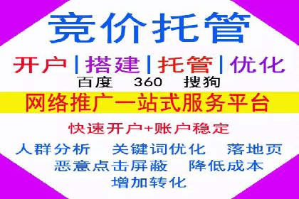行业领先的SEM投放效果案例解析